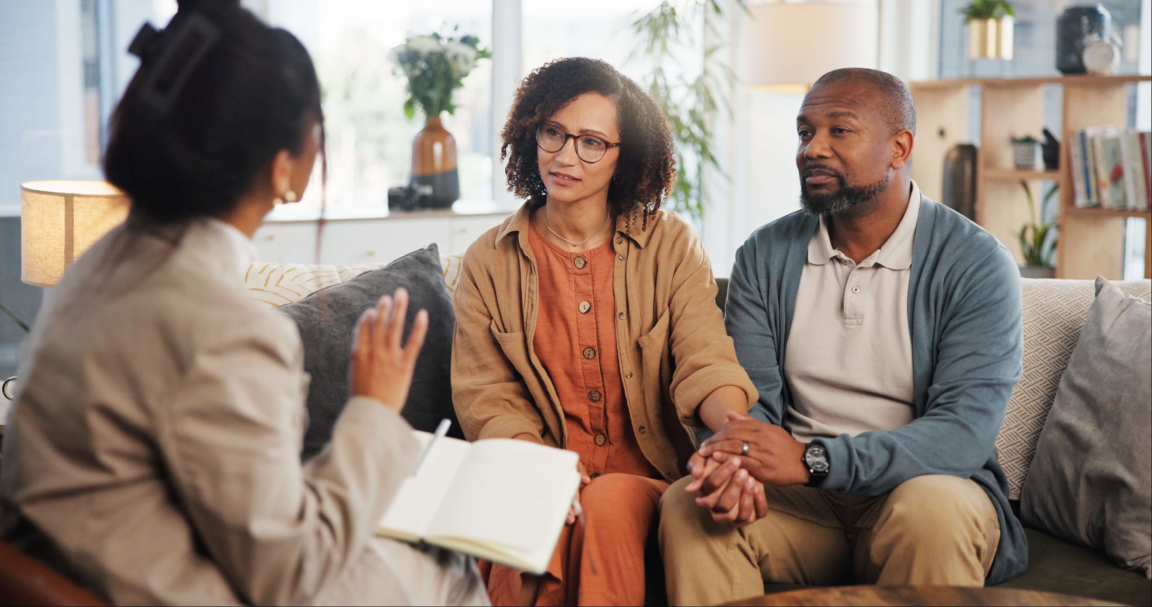 Willow for financial advisers