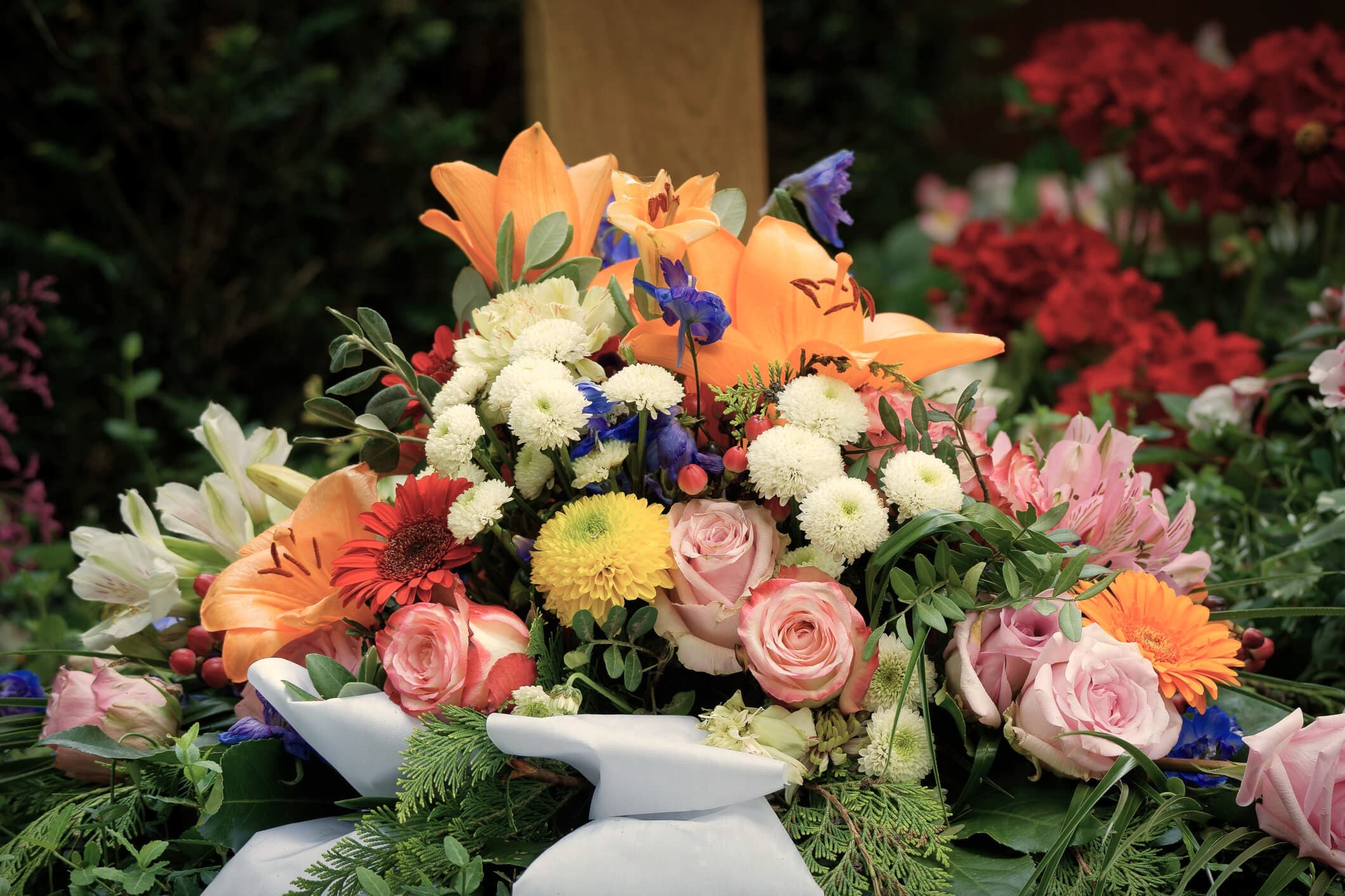 Willow for funeral directors